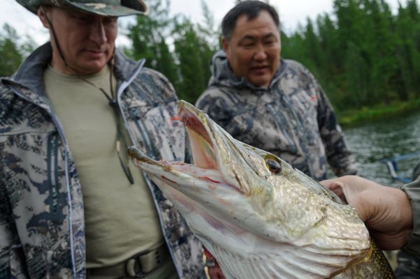 Putin Catches Giant Fish, Russians Not Amused