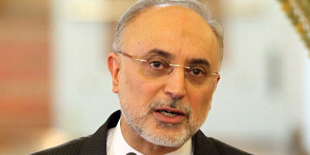 Iranian Foreign Minister Ali Akbar Salehi speaks during a joint press conference with his Lebanese counterpart in Tehran on