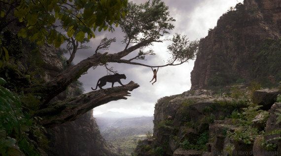 Il libro della giungla. Dieci curiosità sulla storia del piccolo Mowgli che raccontano quanto è importante...