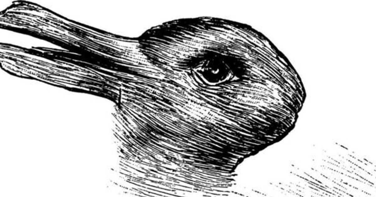 Anatra O Coniglio Quello Che Vedi In Questa Immagine Dice Molto Della Tua Personalita L Huffpost
