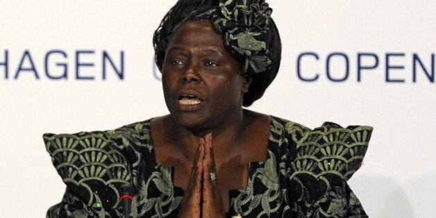 Nobel Peace Prize Laureate, Kenyan professor Wangari Maathai attends a meeting at the Bella center of Copenhagen on December 15, 2009 on the 9th day of the COP15 UN Climate Change Conference. AFP PHOTO / OLIVIER MORIN (Photo credit should read OLIVIER MORIN/AFP/Getty Images)