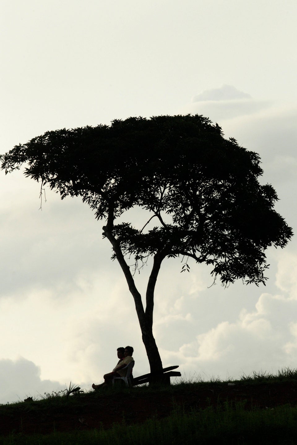 Cliff under a tree. Under the Tree.