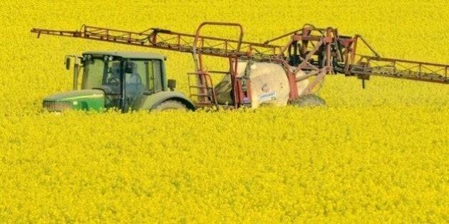 è Vero Che L Ammorbidente è Cancerogeno