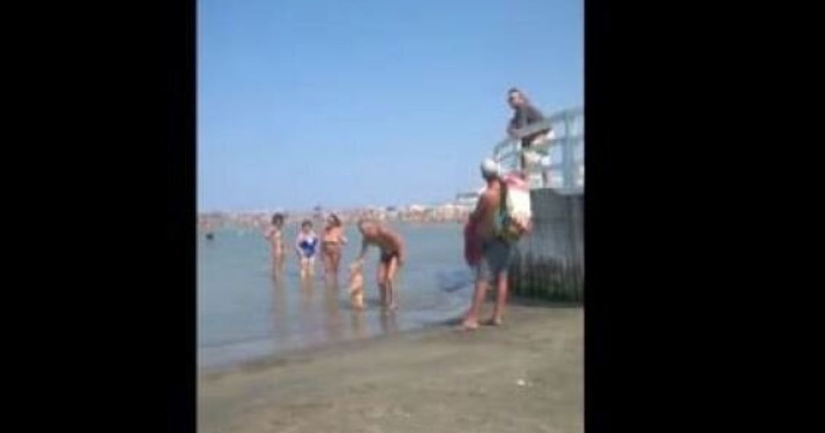 Fiumicino Lite In Spiaggia Ah Str Leva Sto Cane Dall