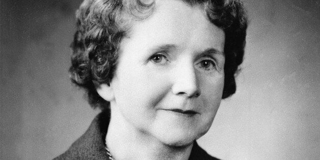 Rachel Carson, author of "Silent Spring," is shown in Washington, D.C., in 1962. (AP Photo)