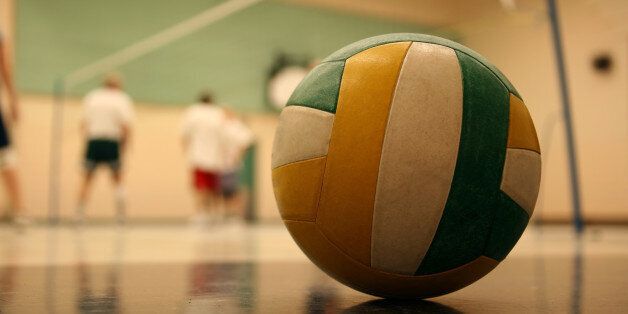 volleyball 002 ball.