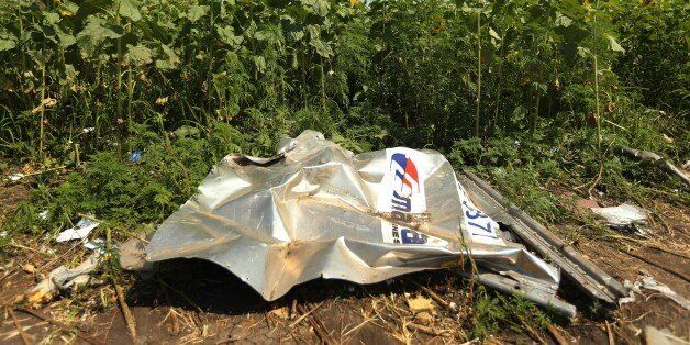 (AUSTRALIA & NEW ZEALAND OUT) Wreckage from the front section of the Malaysian Airlines flight, MH17, on the outskirts of Rassypnoe village, Ukraine, July 26, 2014. (Photo by Kate Geraghty/The Sydney Morning Herald/Fairfax Media via Getty Images).