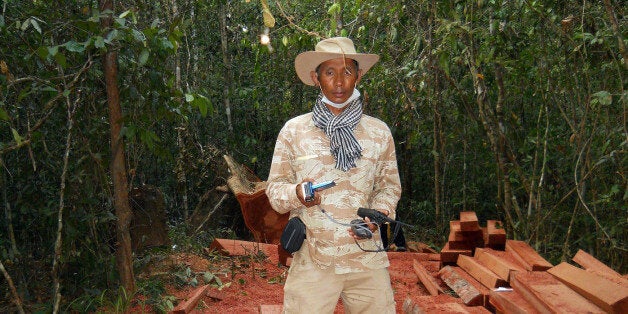 In this photo taken, Feb. 6, 2012, and released by The Cambodian Center for Human Rights (CCHR), Chut Wutty stands on wooden planks of log in a jungle in Kampong Thom province in northern of Phnom Penh, Cambodia. The eulogies called Wutty one of the few remaining activists in Cambodia brave enough to fight massive illegal deforestation by the powerful. The environmental watchdog was shot by a military policeman in April as he probed logging operations in one of the country's last great forests. (AP Photo/The Cambodian Center for Human Rights)