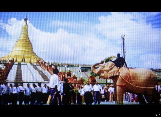 Why Burma believes in white elephants (the real ones)
