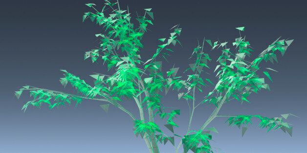 computer generated graphics of tree and plants