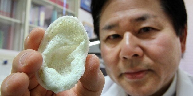 Tsuyoshi Takado, professor of the University of Tokyo Graduate School of Medicine, displays an artificial ear, made of polyactic acid and designed by a 3D printer at his laboratory in Tokyo on January 16, 2015. Takato said his team had been working to create 'a next-generation bio 3D printer', which would build up thin layers of biomaterials to form custom-made parts. His team combines stem cells -- the proto-cells that are able to develop into any body part -- and proteins that trigger growth, as well as synthetic substance similar to human collagen. AFP PHOTO / Yoshikazu TSUNO (Photo credit should read YOSHIKAZU TSUNO/AFP/Getty Images)