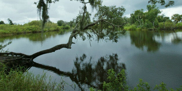 A stretch of the Kissimmee River, Fla., is shown Thursday, July 5, 2007. Lake Okeechobee, the heart of the Everglades and a backup drinking water source for millions, hits a new record low almost weekly. It's main artery, the Kissimmee River starting near Orlando, hasn't flowed south in more than 240 days, depriving the lake of 50 percent of its water. (AP Photo/Wilfredo Lee)