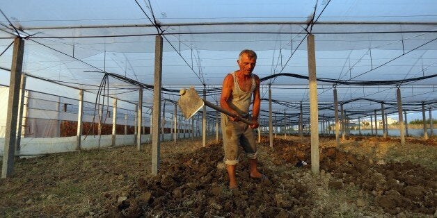 TO GO WITH AFP STORY BY BRISEIDA MEMAGezim Kodheli, 58, works in a garden, in the village of Suk, near the city of Fier on June 29, 2015. More than 600,000 Albanians fleeing the poverty in their homeland have gone to seek their fortune in Greece, many of them illegally, according to official estimates. But since Greece's debt crisis deepened, about 180,000 Albanians have returned home, officials say. AFP PHOTO / GENT SHKULLAKU (Photo credit should read GENT SHKULLAKU/AFP/Getty Images)