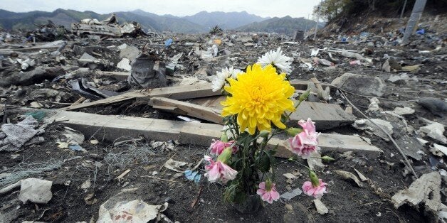 A flowers sits among the rubble in the tsunami-devastated town of Otsuchi, Iwate prefecture on May 10, 2011. Japan's Prime