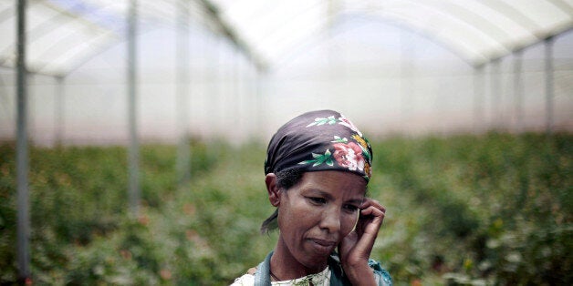 ETHIOPIA - MAY 09: Sinayta Tshoma, a greenhouse worker, age 30, takes a break during a rose harvest at Minaye Flowers Plc flower farm in Debre Zeit, Oromia, Ethiopia, on Friday, May 9, 2008. Tshoma earns 8 Ethiopian birr (US $0.83) for a day of work harvesting and pruning roses. Thanks to a government effort to create jobs that is supported by the World Bank, Ethiopian exports of cut flowers have grown to a $125 million industry, up from $159,000 six years ago. That places the country as Africa's second-largest flower exporter, after Kenya. (Photo by Jose Cendon/Bloomberg via Getty Images)