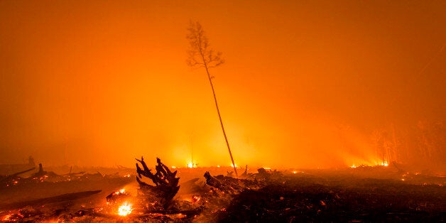 PALANGKARAYA, CENTRAL KALIMANTAN, INDONESIA - NOVEMBER 01: A view of a land as peatland forest is cleared by burning for a palm oil plantation at a company's grounds on November 1, 2015 in the outskirts of Palangkaraya, Central Kalimantan, Indonesia. The air pollution or haze has been an annual problem for the past 18 years in Indonesia. It's caused by the illegal burning of forest and peat fires on the islands of Sumatra and Borneo to clear new land for the production of pulp, paper and palm oil. Desperate civilians at the epicentre of Indonesia's haze crisis are taking the fight into their own hands, using whatever meagre resources they have to confront the fires ravaging their communities as they tire of waiting for the government to take action. This disaster has been exacerbated by this year's long dry season, triggered by the El Nino weather phenomenon. (Photo by Ulet Ifansasti/Getty Images)