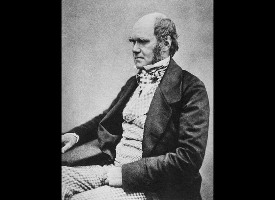 Charles Darwin (1809-1882) 