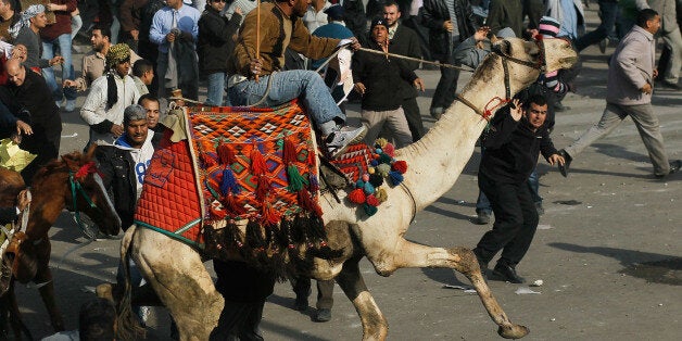 CAIRO, EGYPT - FEBRUARY 02: A supporter of embattled Egyptian president Hosni Mubarek rides a camel through the melee during a clash between pro-Mubarak and anti-government protesters in Tahrir Square on February 2, 2011 in Cairo, Egypt. Yesterday President Mubarak announced that he would not run for another term in office, but would stay in power until elections later this year. Thousands of supporters of Egypt's long-time president and opponents of the regime clashed then today in Tahrir Square, throwing rocks and fighting with improvised weapons. (Photo by Chris Hondros/Getty Images)