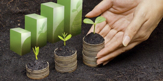 hands holding tress growing on coins in germination sequence / csr / sustainable development / business growth with responsibility