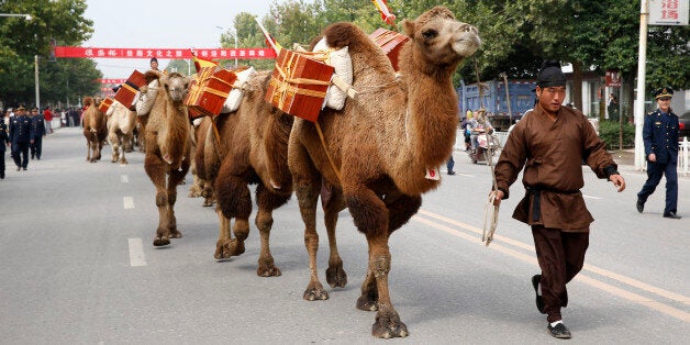 An man in ancient Chinese costume walks next to a camel while participating in the Silk Road Cultural Journey, in Jingyang, S