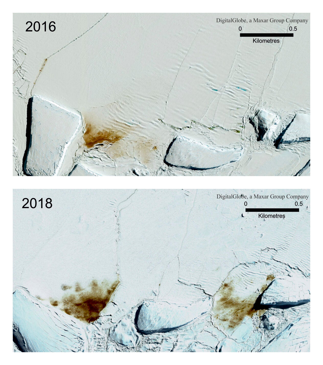 The site of the Dawson Lambton emperor penguin colony in 2016 and 2018. (Maxar Technologies/British Antarctic Survey via AP)