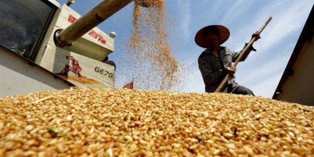 COME INVESTIRE IN ORO: ecco 2 strade per farlo