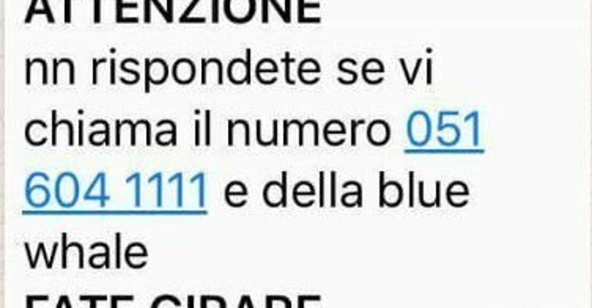 cerco una singola o coppia per trasgredire cerco una singola o coppia per trasgredire