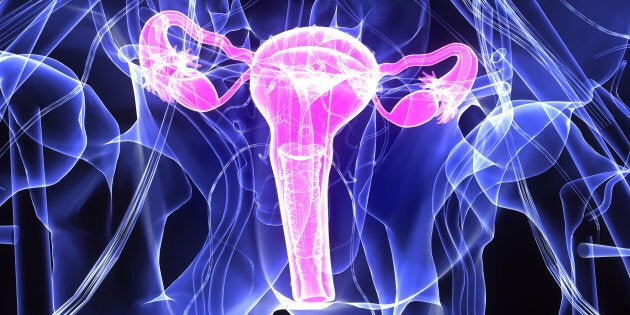 Xray grande pene