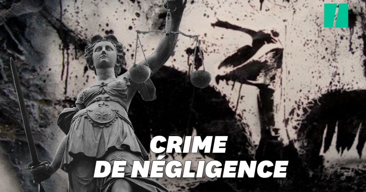 L Ecocide Nouveau Crime Contre L Humanite Qui Tente De S Imposer En France Le Huffpost