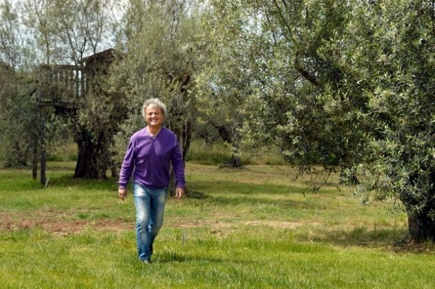 Che sono le stelle un albero collina che risale