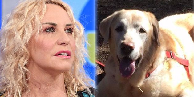 Per Me Sei Stato Il Primo Figlio Il Dolore Di Antonella Clerici Per La Morte Del Suo Cane Oliver L Huffpost