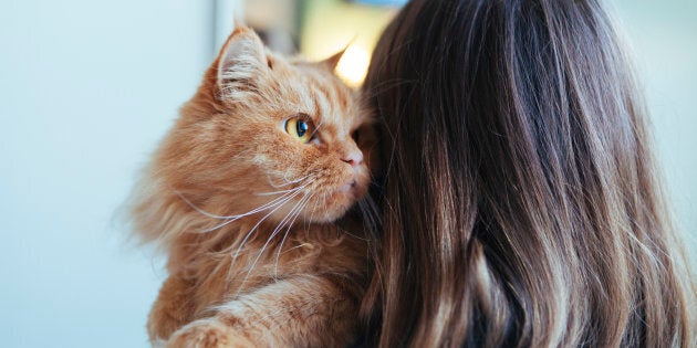 Idee Regalo Per Chi Ama I Cani E I Gatti Lhuffpost