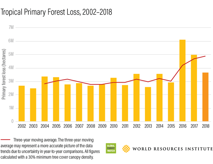 The worst years for tropical primary forest loss since 2002 were in 2016, 2017 and 2018, according to the Global Forest Watch.