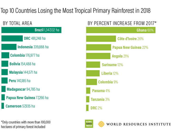 The countries that lost the most tropical primary rainforest in 2018, with Brazil having lost the most.