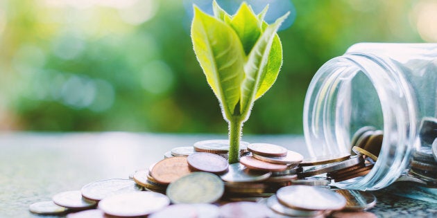 Risultato immagini per transizione ecologica