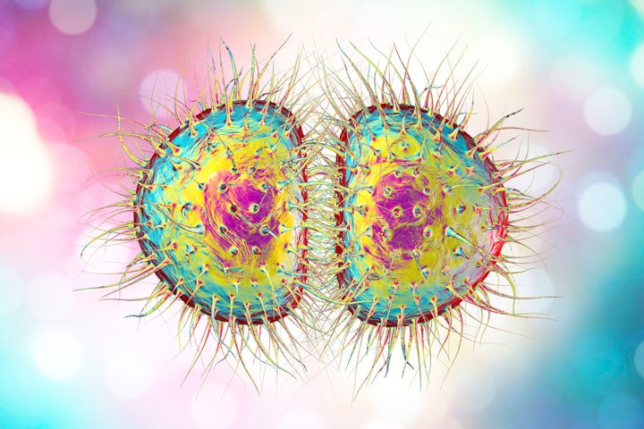 A diagram of Neisseria gonorrhoeae, aka "super gonorrhoea". 