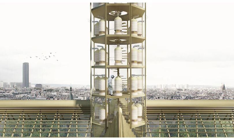 Notre-Dame de Paris: des architectes imaginent une serre sur le