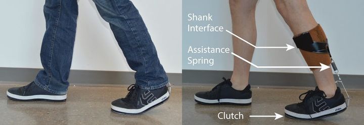 An exosuit for the ankle that assists ankle muscles when walking or running. Yandell et al., 2019, CC BY-ND