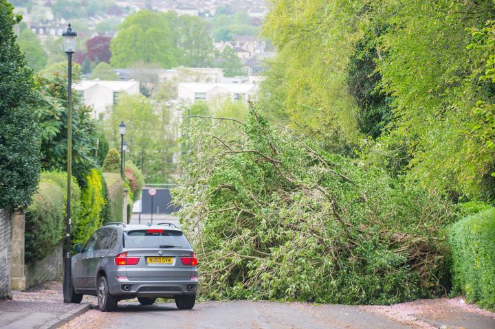A fallen tree across a road in Bath, Somerset, on Saturday as storm Hannah sweeps across the west country.
