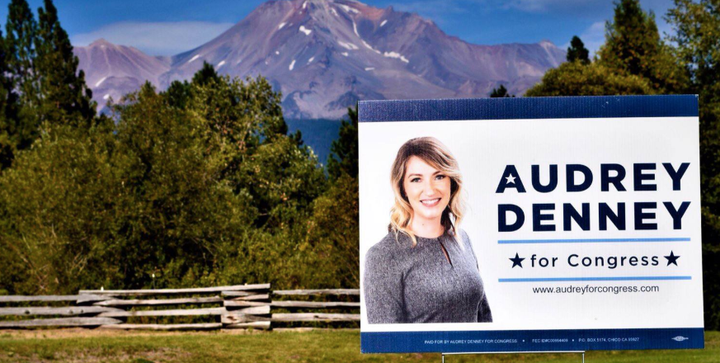 Audrey Denney, an agricultural educator, is running to replace Rep. Doug LaMalfa (R-Calif.) in California’s 1st congressional district.