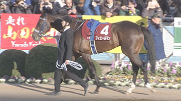 フィエールマン 天皇賞 春 平成最後 のgiレースを制す 平成の名馬たちを写真で振り返る 画像集 ハフポスト News フィエールマン 天皇賞 春 平成最後 のgiレースを制す 平成の名馬たちを写真で振り返る 画像集 ハフポスト News