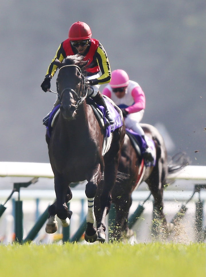 天皇賞・春で優勝したフェノーメノ。騎手は蛯名正義（2013年 京都競馬場）