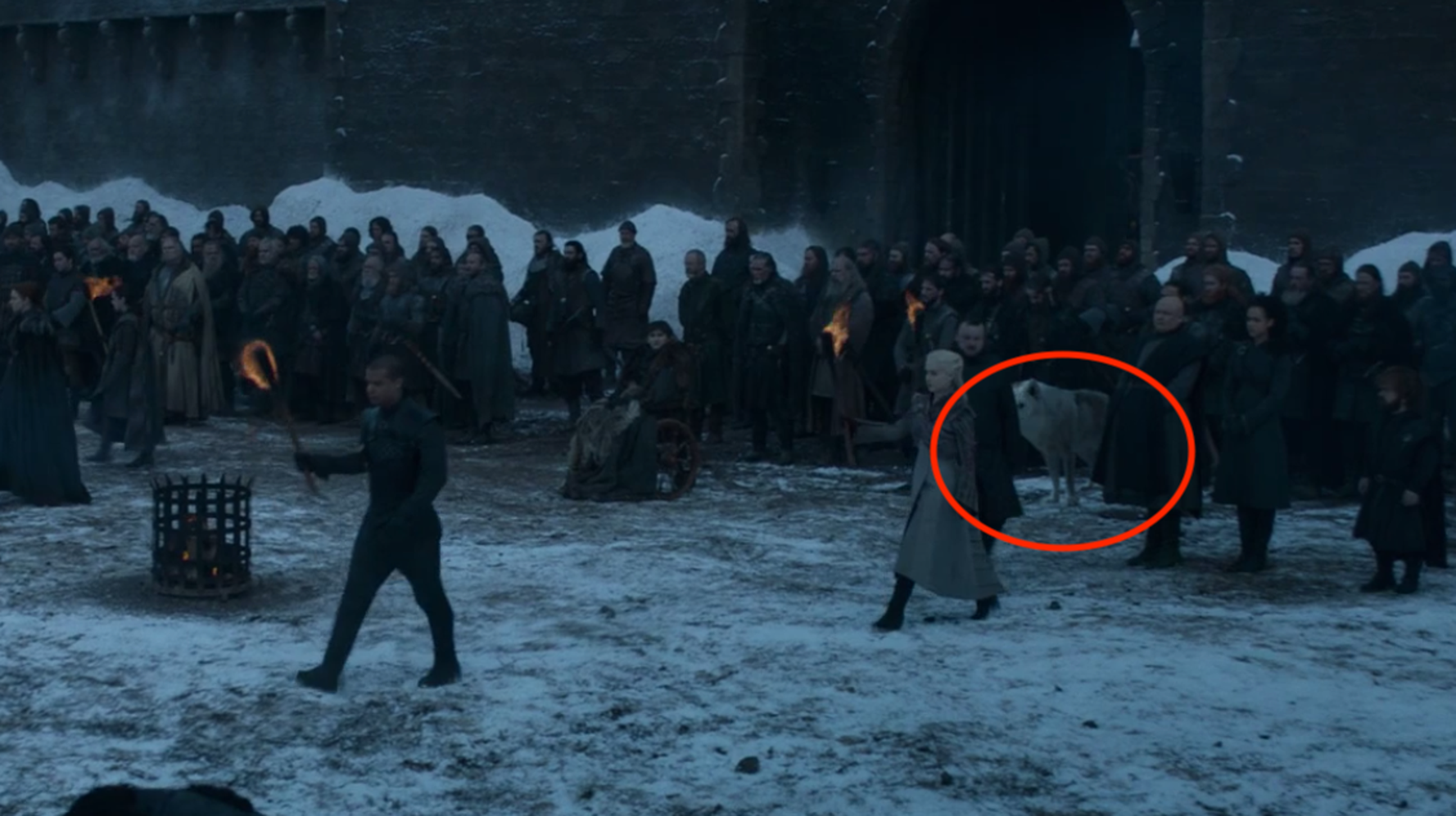 Psa Ghost Is Still Alive In Game Of Thrones Season 8 Huffpost