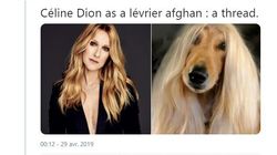 Ces tweets qui comparent des stars à des animaux sont tout simplement