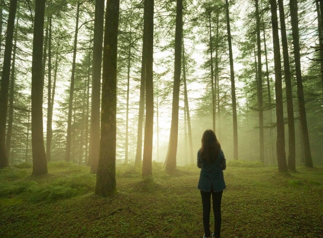 Ecco perch hai bisogno di provare il Forest Bathing, il passatempo anti-stress dal