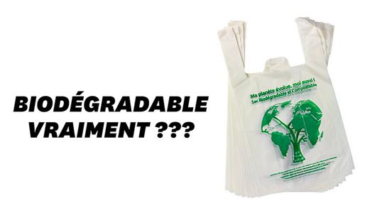 Les sacs biodégradables ne tiennent pas leur promesse, selon cette