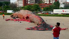 This Grisly 'Dead Whale' Sculpture Is A Tough Lesson About Ocean Plastics
