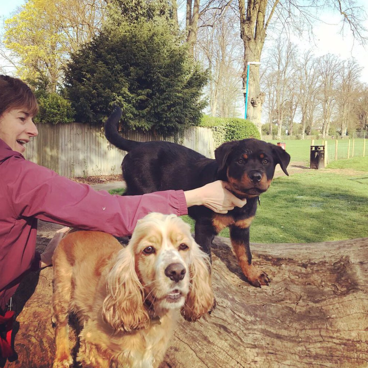 Ellen Manning's friend with her dog and Ellen's puppy . 