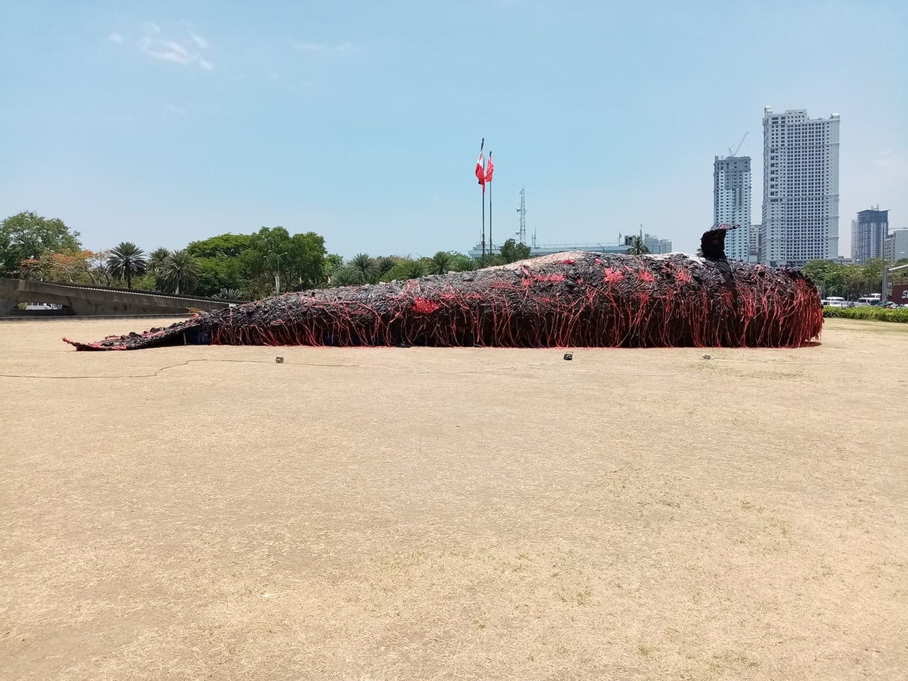 The art installation brings to light the deadly cost of plastic pollution in oceans.