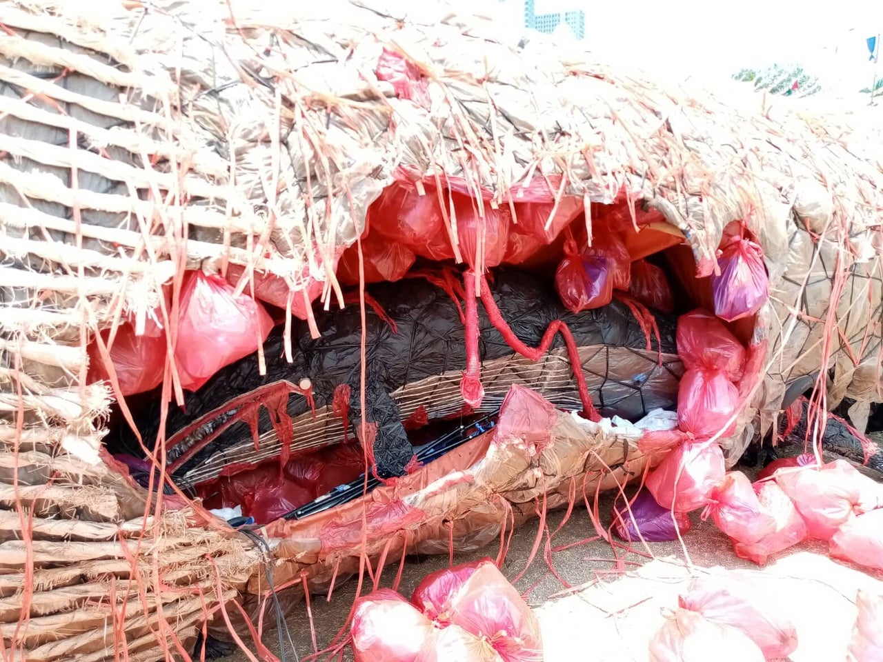 "The Cry of the Dead Whale" features a sculpture of a baby whale just visible inside the body cavity of a larger whale.